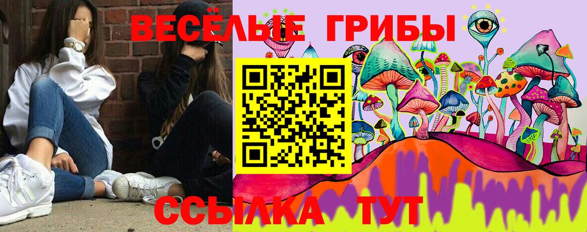 Галлюциногенные грибы мицелий Рязань