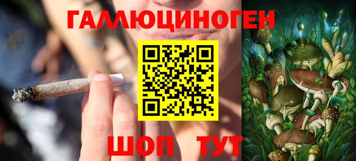 где продают   Псилоцибиновые грибы Psilocybine cubensis  Вход с VPN  Рязань 